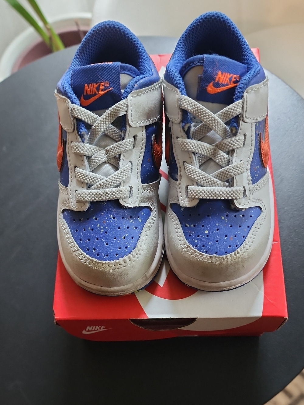 Nike Dunks (TDE)